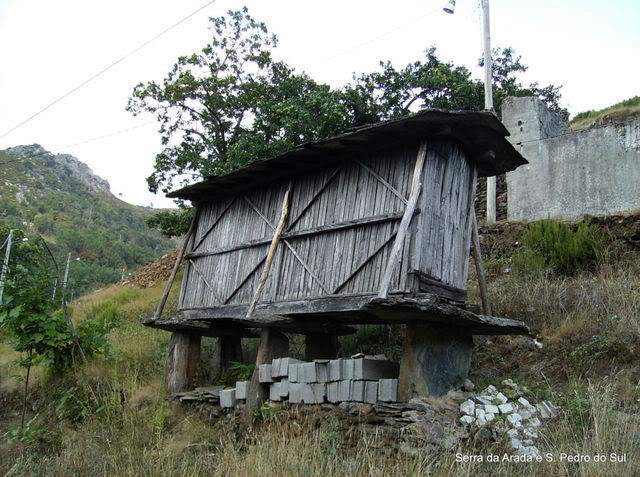 ai609.photobucket.com_albums_tt175_tininha05_SerradaFreitaMontemuroeDouro09107.jpg