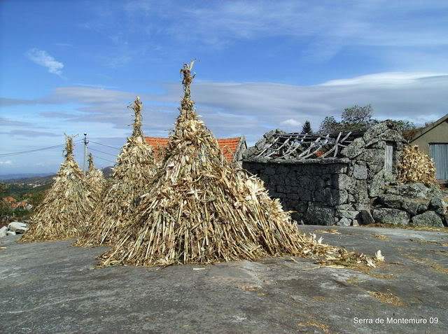 ai609.photobucket.com_albums_tt175_tininha05_SerradaFreitaMontemuroeDouro09157.jpg