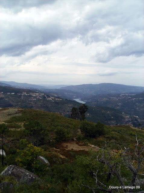 ai609.photobucket.com_albums_tt175_tininha05_SerradaFreitaMontemuroeDouro09194.jpg