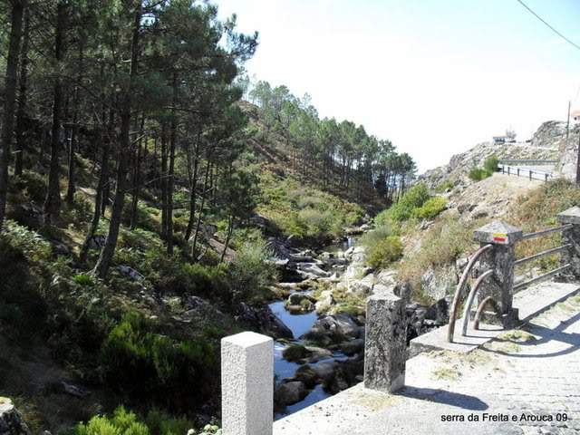 ai609.photobucket.com_albums_tt175_tininha05_SerradaFreitaMontemuroeDouro09249.jpg