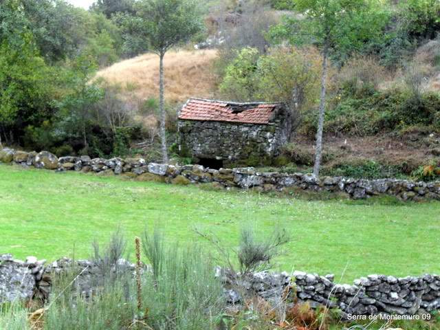 ai609.photobucket.com_albums_tt175_tininha05_SerradaFreitaMontemuroeDouro09319.jpg