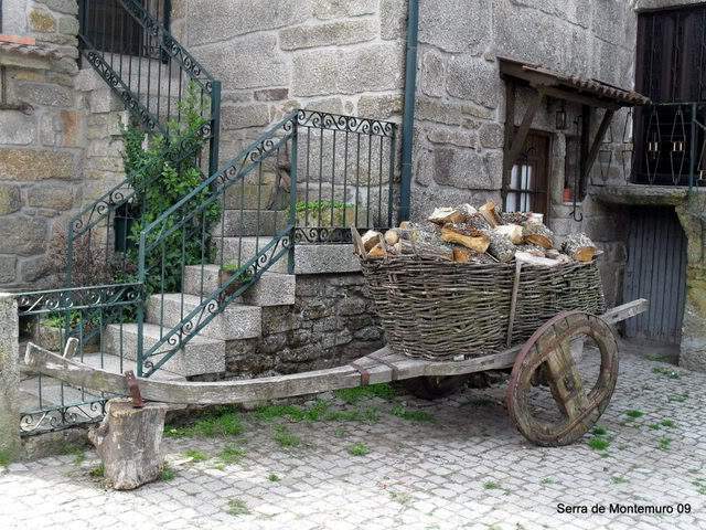 ai609.photobucket.com_albums_tt175_tininha05_SerradaFreitaMontemuroeDouro09327.jpg
