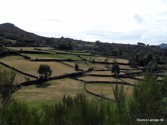 ai609.photobucket.com_albums_tt175_tininha05_SerradaFreitaMontemuroeDouro09339.jpg