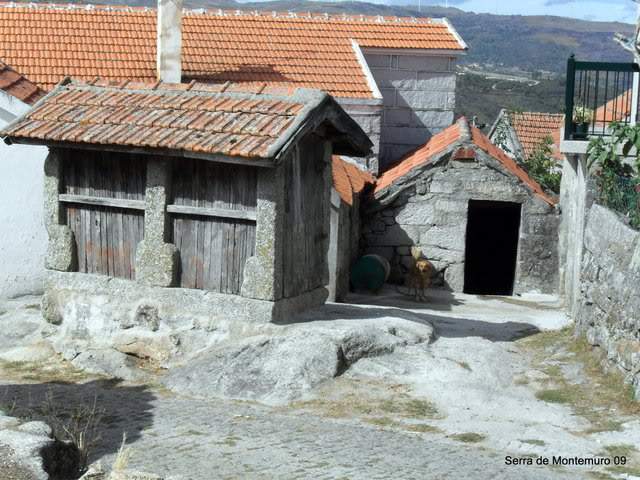 ai609.photobucket.com_albums_tt175_tininha05_SerradaFreitaMontemuroeDouro09341.jpg
