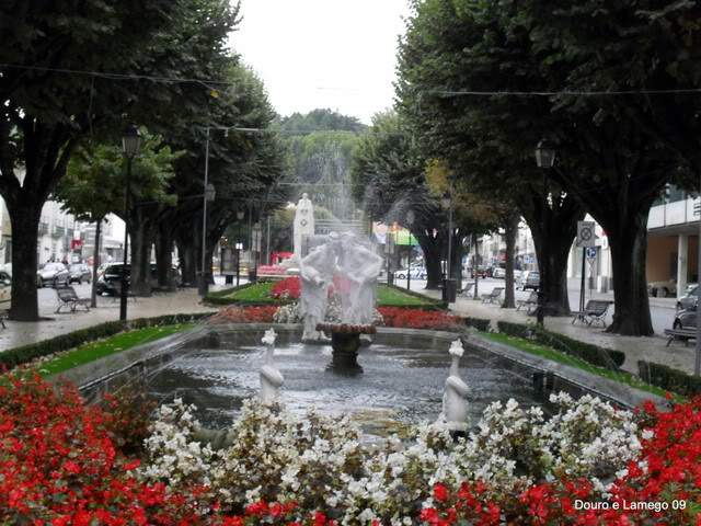 ai609.photobucket.com_albums_tt175_tininha05_SerradaFreitaMontemuroeDouro09387.jpg