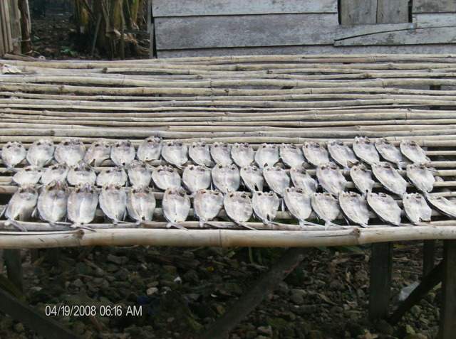 ai609.photobucket.com_albums_tt175_tininha05_STom009.jpg