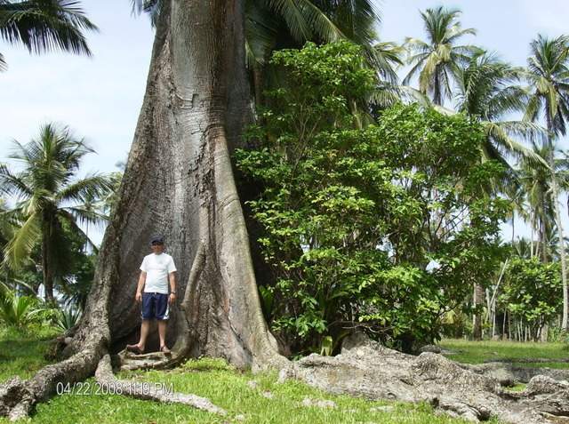 ai609.photobucket.com_albums_tt175_tininha05_STom019.jpg