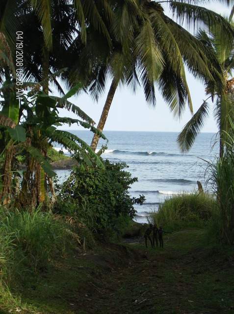ai609.photobucket.com_albums_tt175_tininha05_STom081_1.jpg