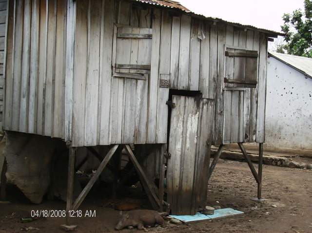 ai609.photobucket.com_albums_tt175_tininha05_STom082.jpg