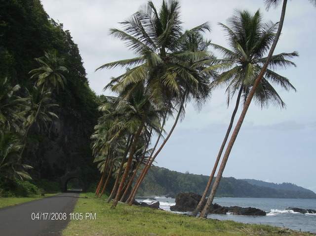 ai609.photobucket.com_albums_tt175_tininha05_STom138.jpg
