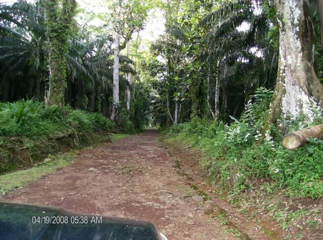 ai609.photobucket.com_albums_tt175_tininha05_STom144.jpg