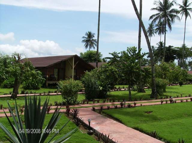 ai609.photobucket.com_albums_tt175_tininha05_STom166.jpg