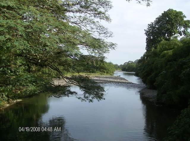 ai609.photobucket.com_albums_tt175_tininha05_STom201.jpg