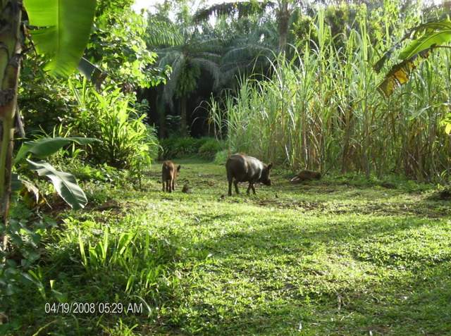 ai609.photobucket.com_albums_tt175_tininha05_STom206.jpg