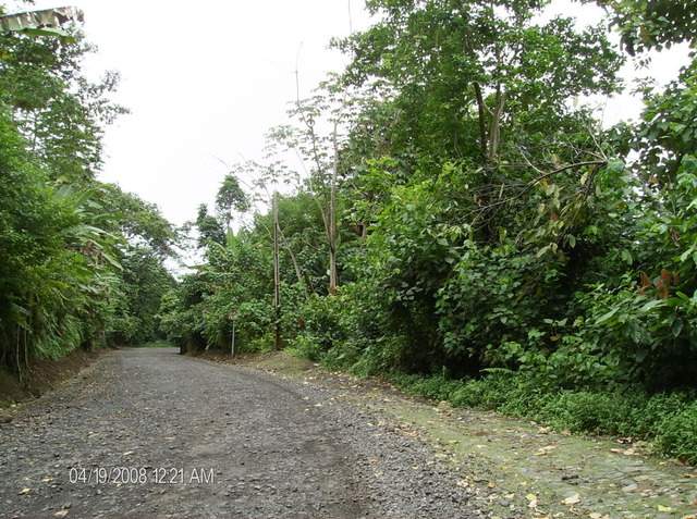 ai609.photobucket.com_albums_tt175_tininha05_STom242.jpg