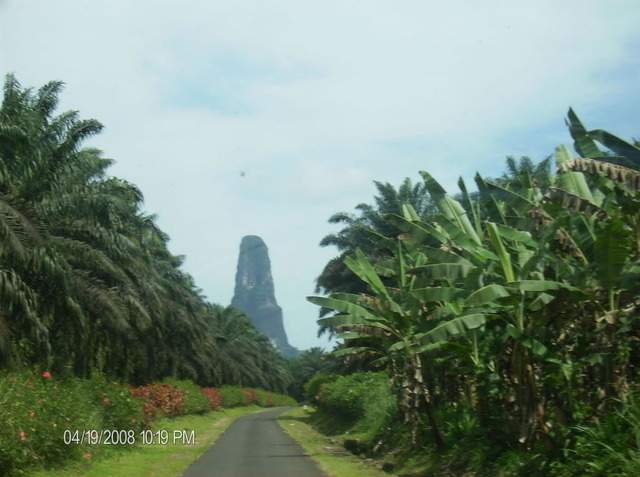ai609.photobucket.com_albums_tt175_tininha05_STom299.jpg