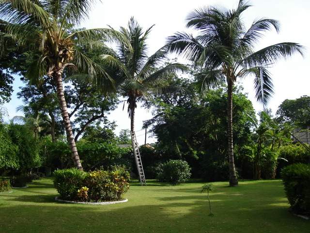 ai609.photobucket.com_albums_tt175_tininha05_STom313.jpg