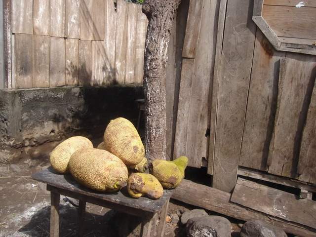 ai609.photobucket.com_albums_tt175_tininha05_STom325.jpg