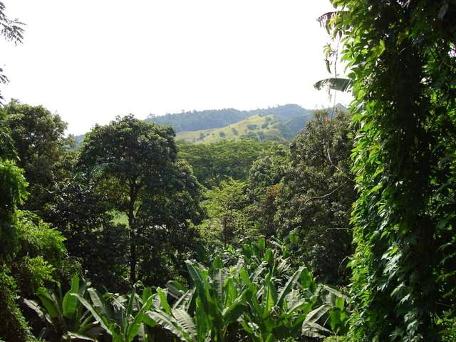 ai609.photobucket.com_albums_tt175_tininha05_STom327.jpg