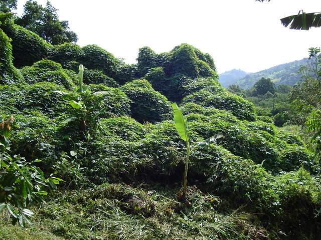 ai609.photobucket.com_albums_tt175_tininha05_STom332.jpg