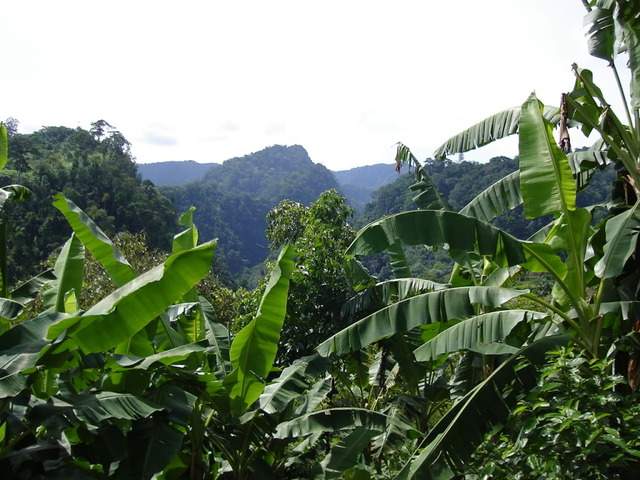 ai609.photobucket.com_albums_tt175_tininha05_STom336.jpg