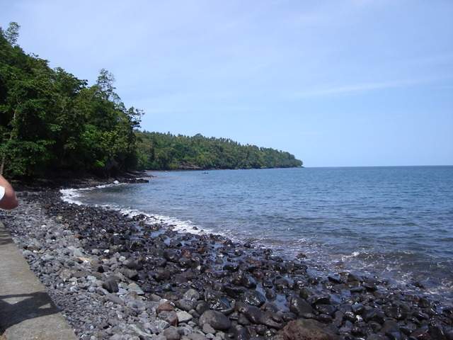 ai609.photobucket.com_albums_tt175_tininha05_STom354.jpg