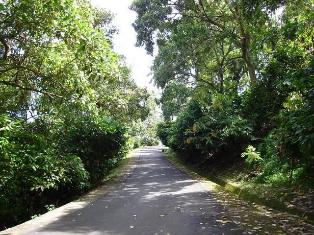 ai609.photobucket.com_albums_tt175_tininha05_STom358.jpg
