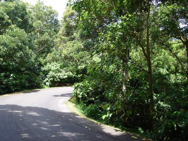 ai609.photobucket.com_albums_tt175_tininha05_STom359.jpg