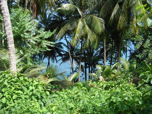 ai609.photobucket.com_albums_tt175_tininha05_STom366.jpg