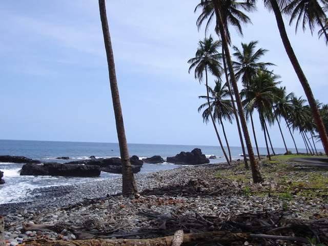 ai609.photobucket.com_albums_tt175_tininha05_STom372.jpg