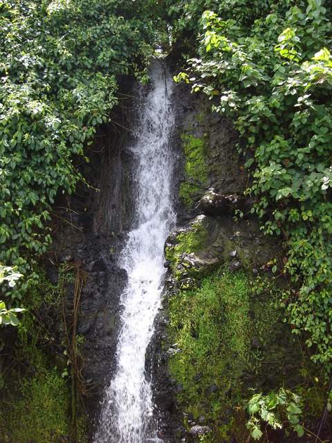 ai609.photobucket.com_albums_tt175_tininha05_STom388.jpg