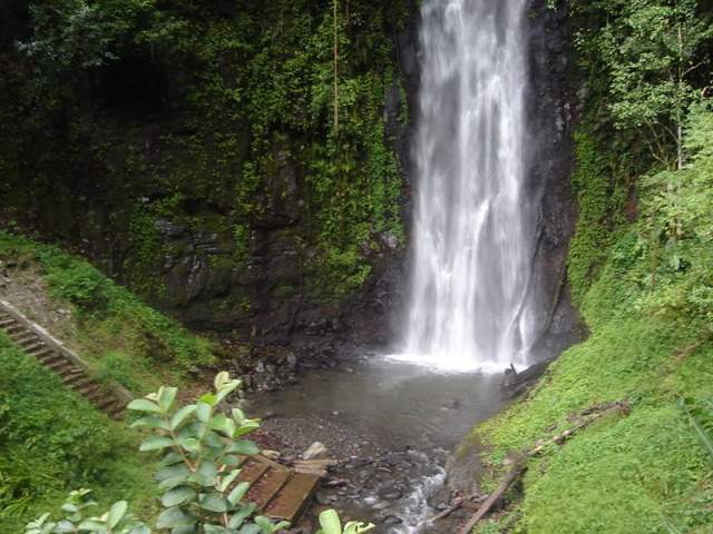 ai609.photobucket.com_albums_tt175_tininha05_STom433.jpg