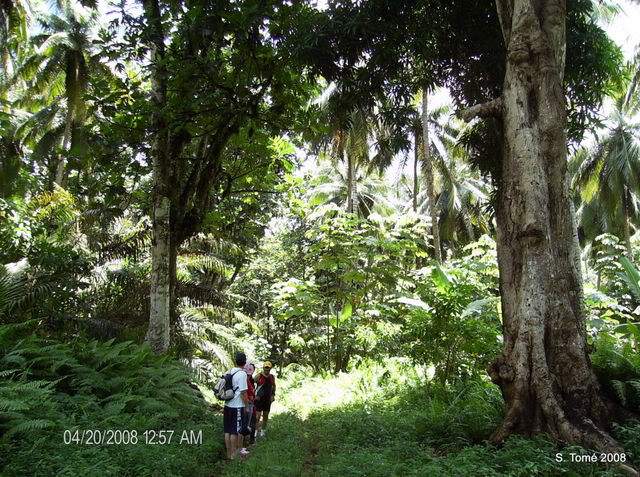 ai609.photobucket.com_albums_tt175_tininha05_STome2008370.jpg