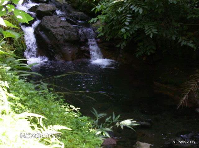 ai609.photobucket.com_albums_tt175_tininha05_STome2008585.jpg