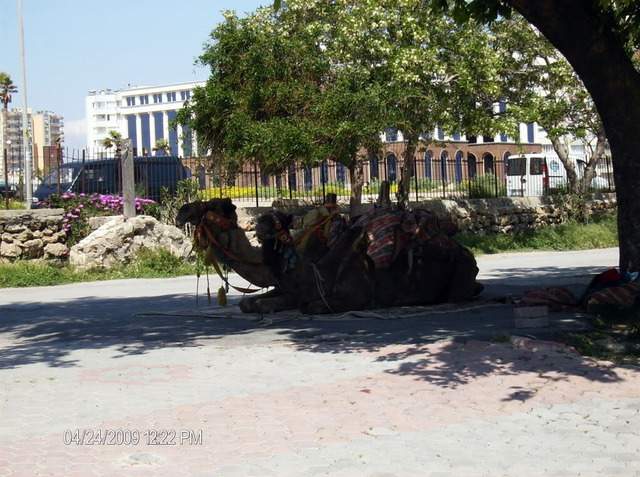 ai609.photobucket.com_albums_tt175_tininha05_Turquia048.jpg