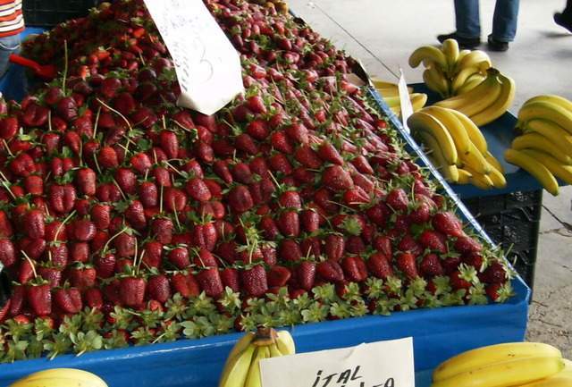 ai609.photobucket.com_albums_tt175_tininha05_Turquia538.jpg