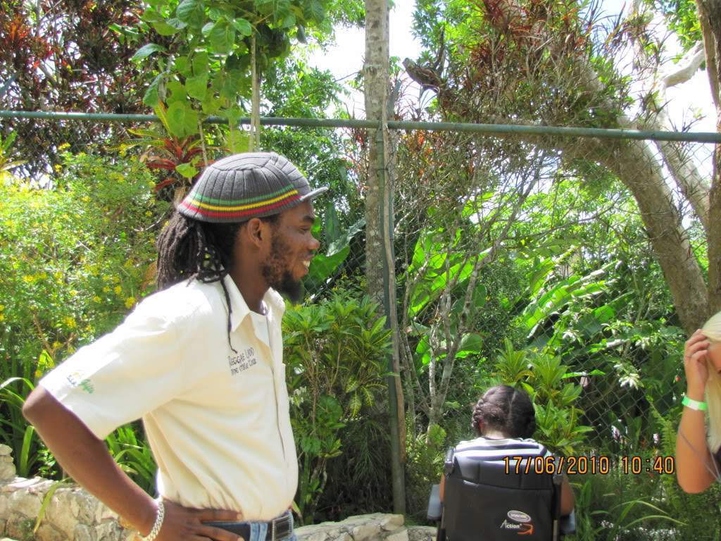 ai614.photobucket.com_albums_tt222_octuning_jamaica_202010_jamaica2010291.jpg