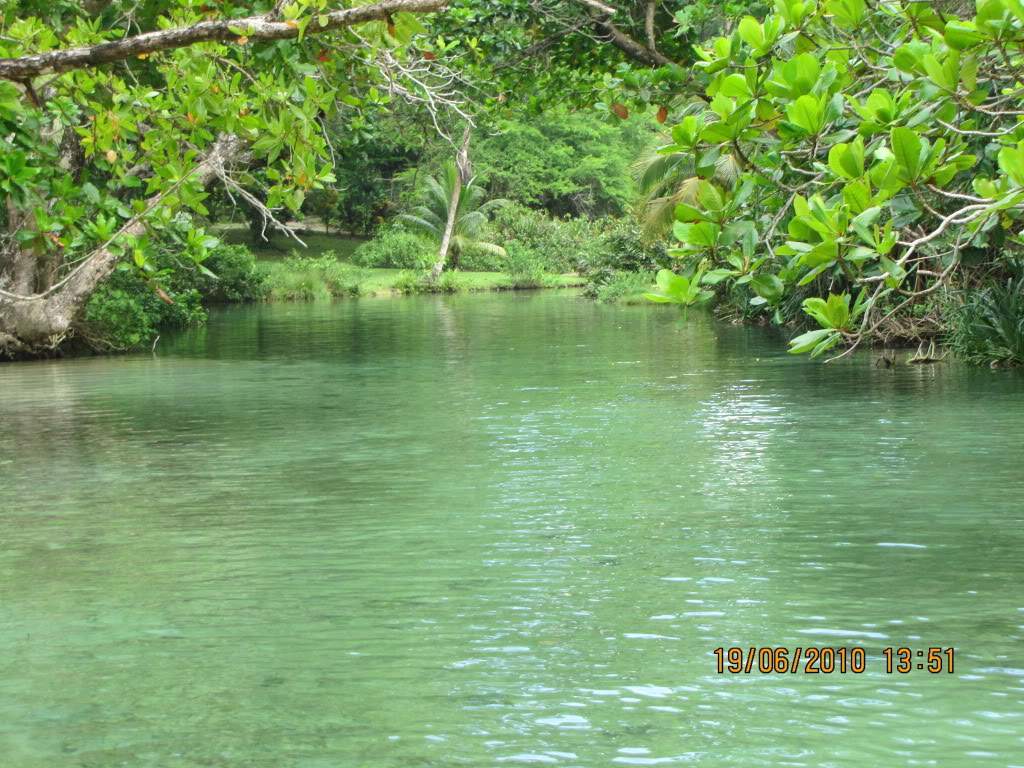 ai614.photobucket.com_albums_tt222_octuning_jamaica_202010_jamaica2010615.jpg