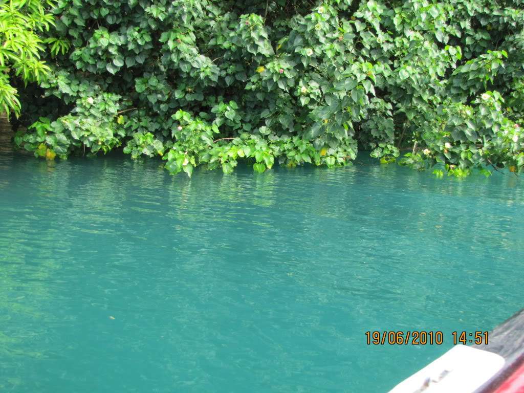 ai614.photobucket.com_albums_tt222_octuning_jamaica_202010_jamaica2010681.jpg