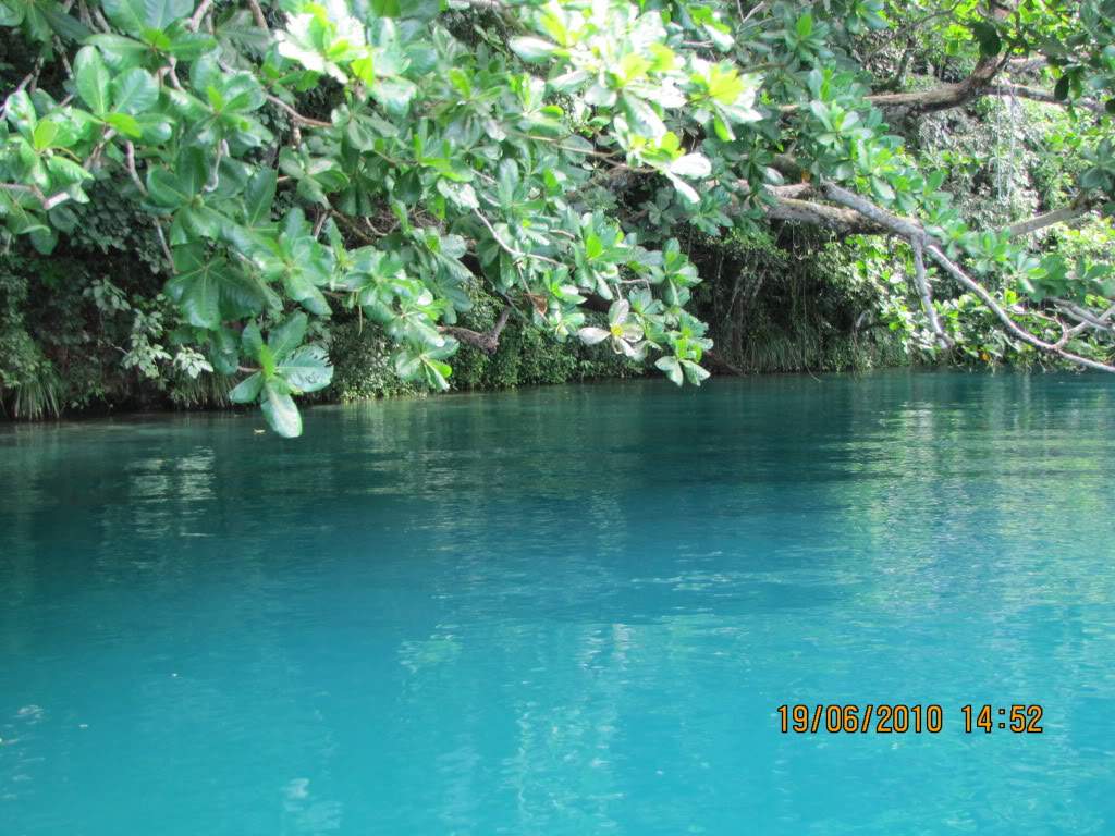 ai614.photobucket.com_albums_tt222_octuning_jamaica_202010_jamaica2010683_1.jpg
