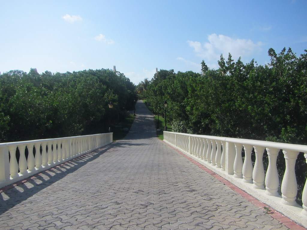 ai636.photobucket.com_albums_uu81_ruimartinsphotos_Mexico_202013_IMG_0100Copy.jpg