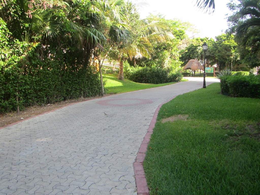 ai636.photobucket.com_albums_uu81_ruimartinsphotos_Mexico_202013_IMG_0102Copy.jpg