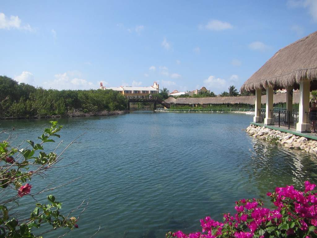 ai636.photobucket.com_albums_uu81_ruimartinsphotos_Mexico_202013_IMG_0104Copy.jpg