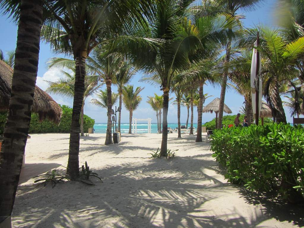 ai636.photobucket.com_albums_uu81_ruimartinsphotos_Mexico_202013_IMG_0148Copy.jpg