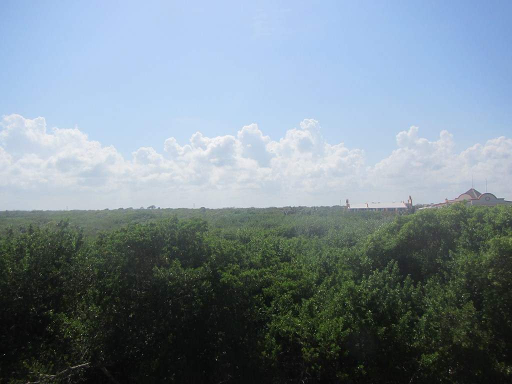 ai636.photobucket.com_albums_uu81_ruimartinsphotos_Mexico_202013_IMG_0176Copy.jpg