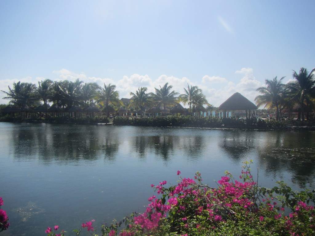 ai636.photobucket.com_albums_uu81_ruimartinsphotos_Mexico_202013_IMG_0185Copy.jpg