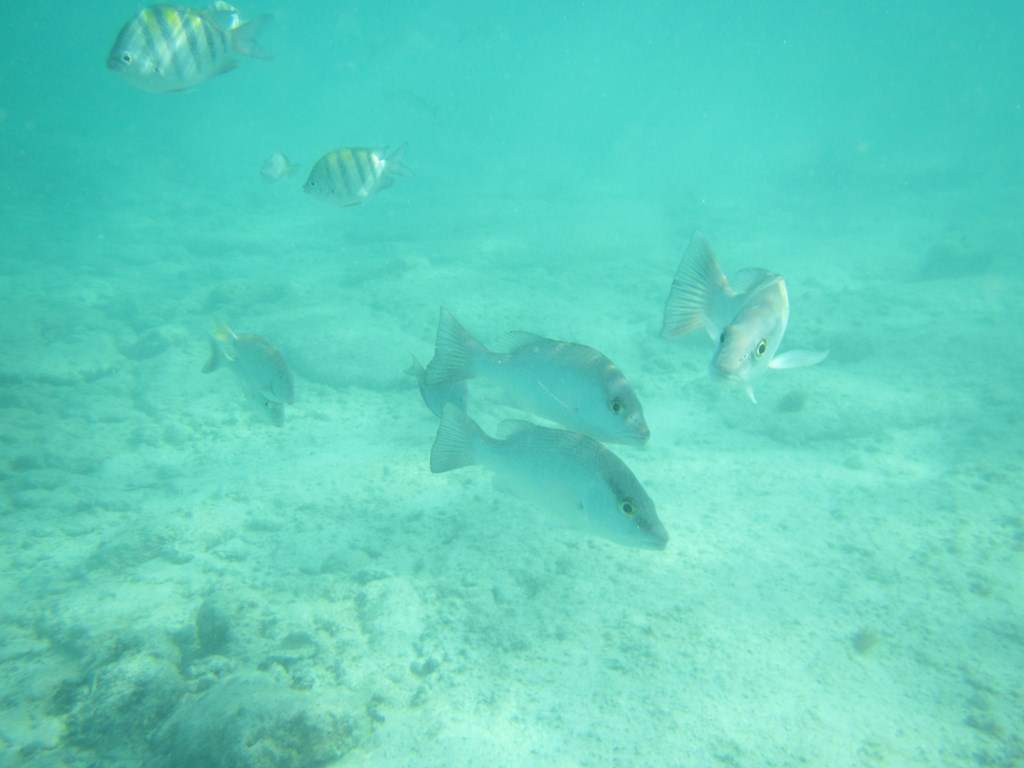 ai636.photobucket.com_albums_uu81_ruimartinsphotos_Mexico_202013_IMG_0390Copy.jpg