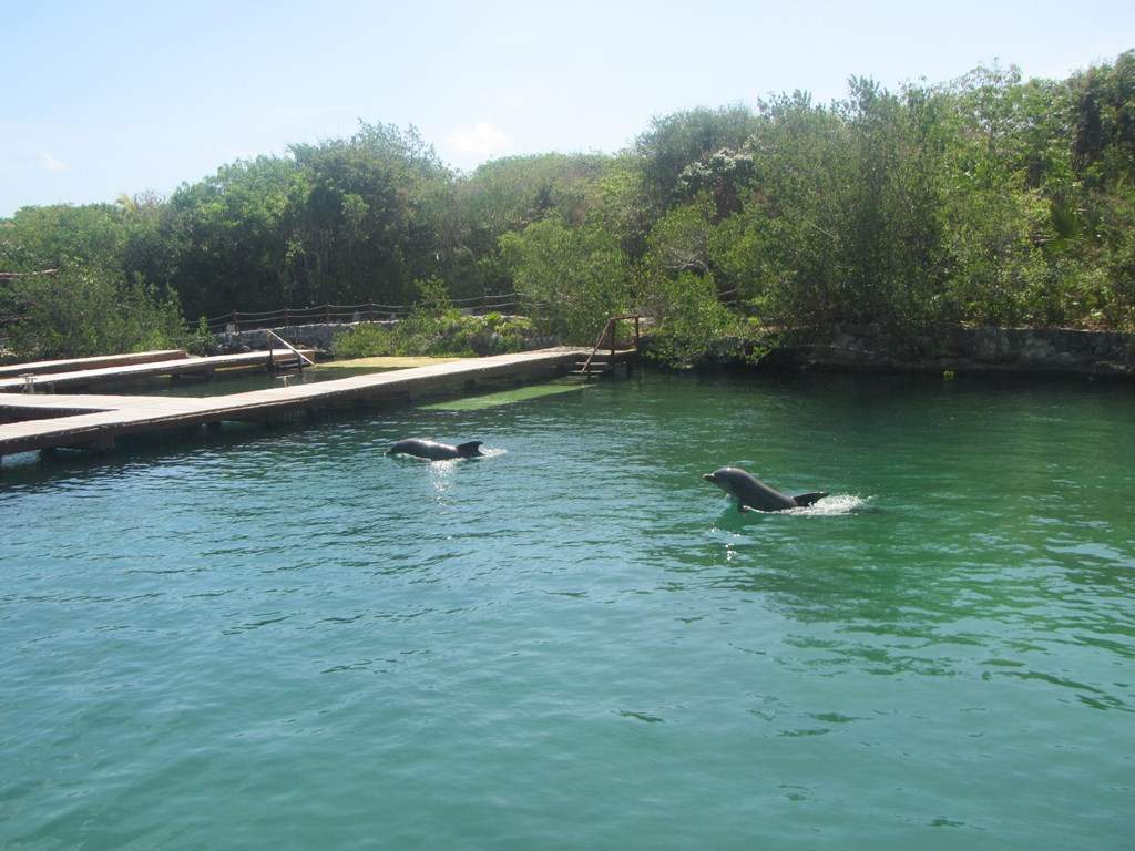 ai636.photobucket.com_albums_uu81_ruimartinsphotos_Mexico_202013_IMG_0472Copy.jpg