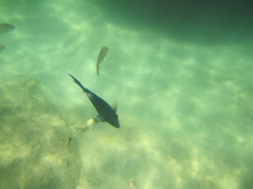 ai636.photobucket.com_albums_uu81_ruimartinsphotos_Mexico_202013_IMG_0474Copy.jpg