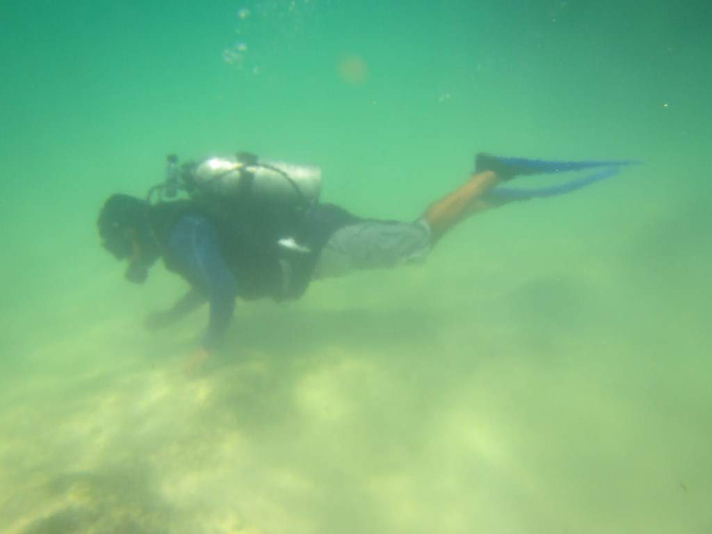 ai636.photobucket.com_albums_uu81_ruimartinsphotos_Mexico_202013_IMG_0516Copy.jpg